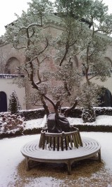 De vijgenboom in de binnentuin van het seminarie, die aan het H. Land doet denken, heeft het helaas begeven...