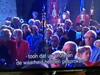 TV-Mis in Laren