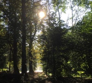 In het bedevaartspark van Heiloo