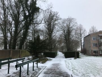 De eerste sneeuw van deze winter viel juist deze dag