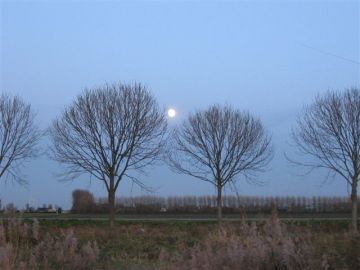 Kansen(on)gelijkheid in het onderwijs