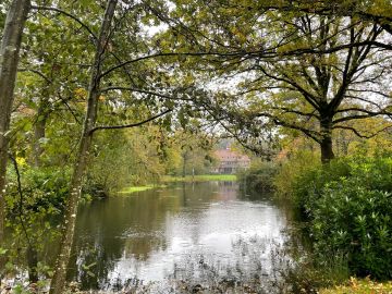 Zonnewende vanuit het park